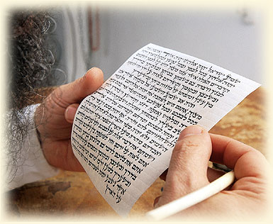 בדיקת.jpg